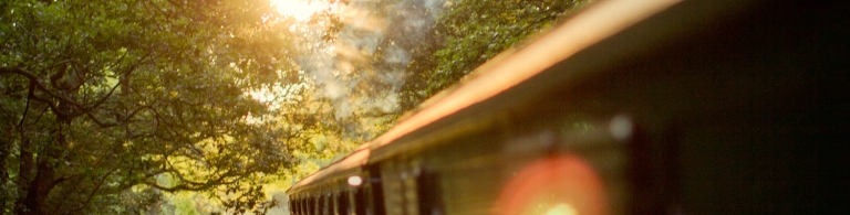 Steam Train moving through a forest