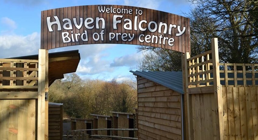 Falconry UK Birds of Prey Centre