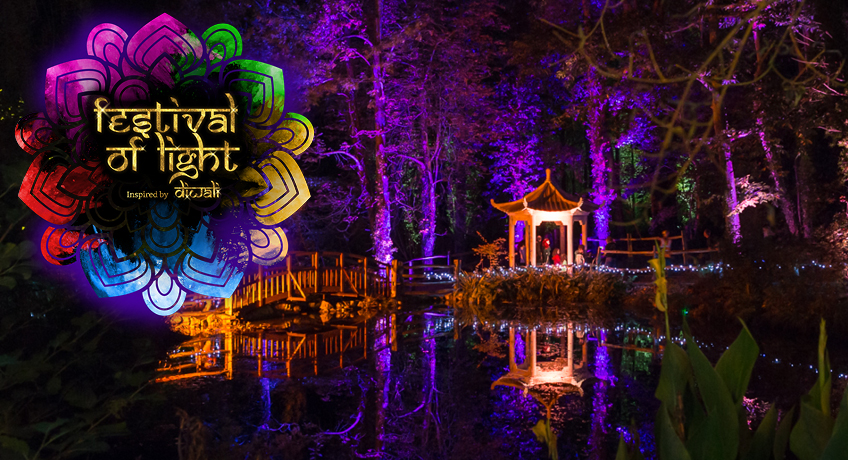 Festival of Light inspired by Diwali