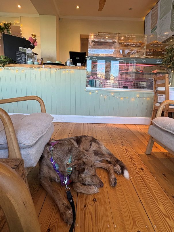 Nemo at Sage Coffee House