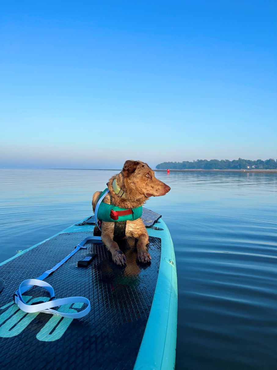 Nemo at St Helens Duver