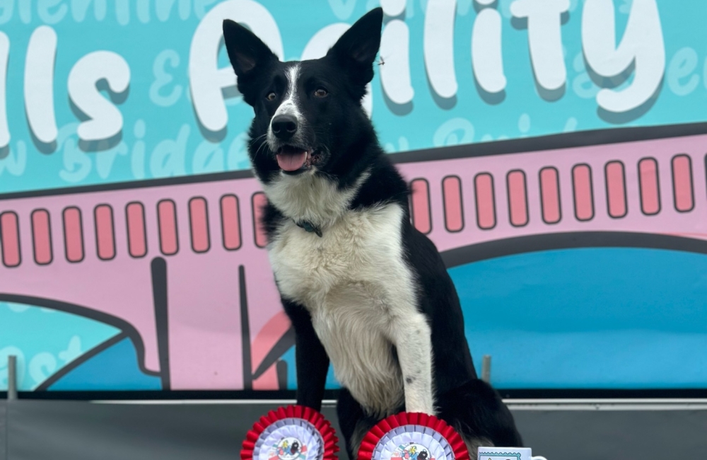 Dash at the podium