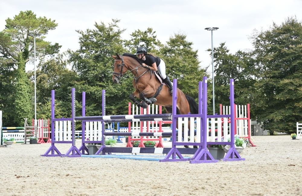 Rubi in competition mid jump