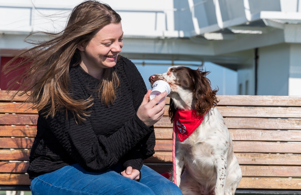 dog eating dog friendly ice cream onboard the ferry