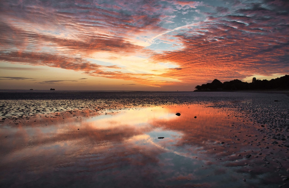 Appley Beach  