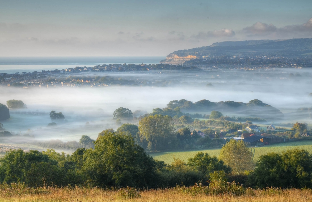 Brading mist