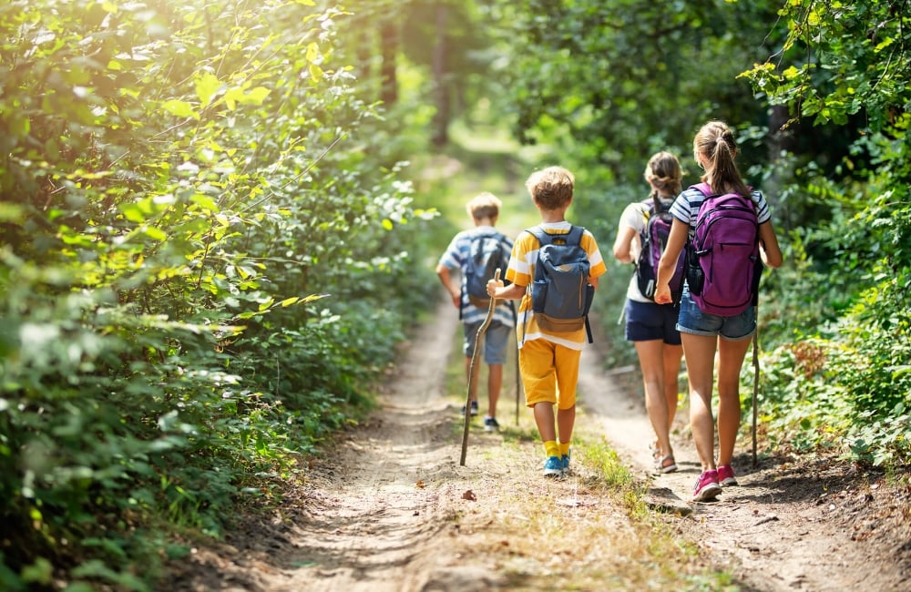 Children on a hike in the woods