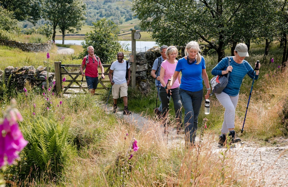 Group of people on a guided hike