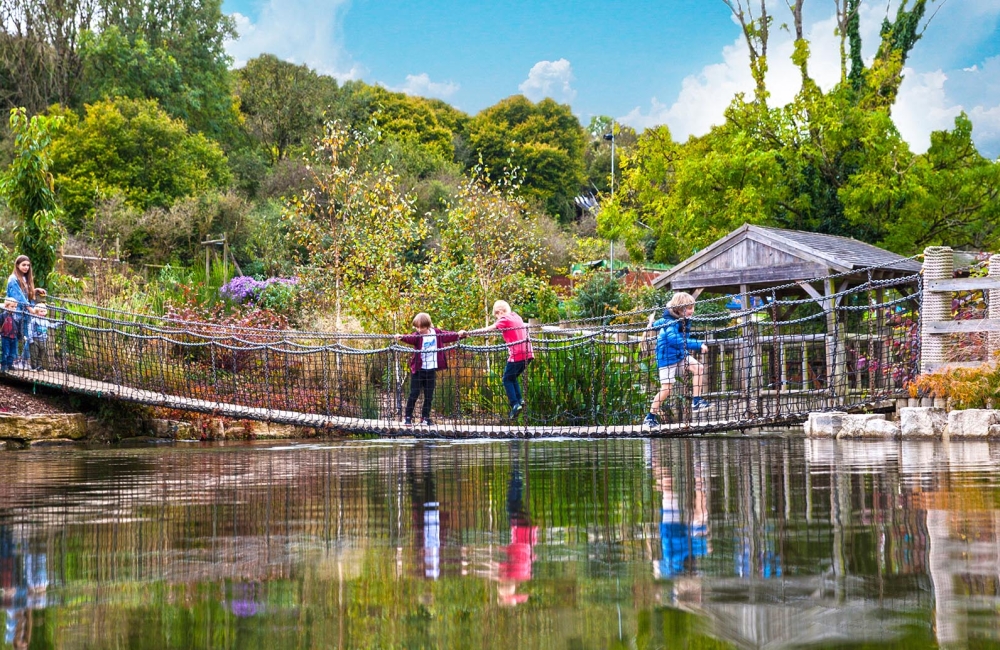 Family exploring Robin Hill Park 