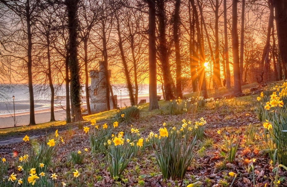 Appley Spring Sunrise