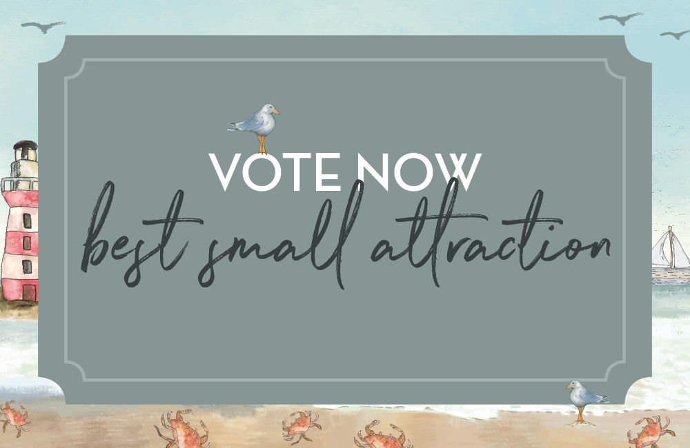 Vote for Best Small Attraction