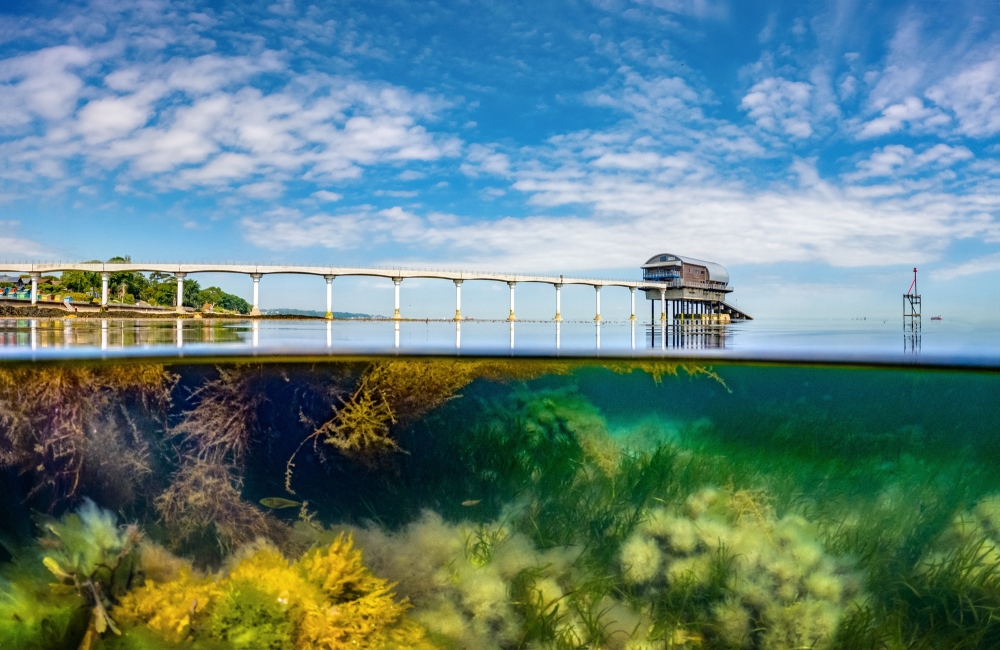 bembridge-reef