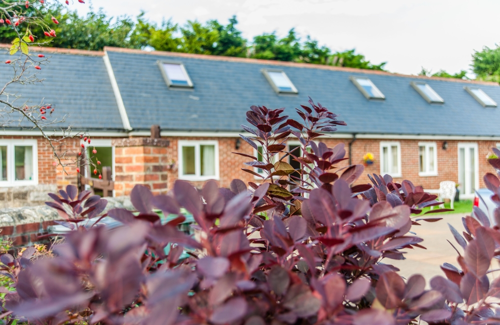 Borthwood Cottages exterior