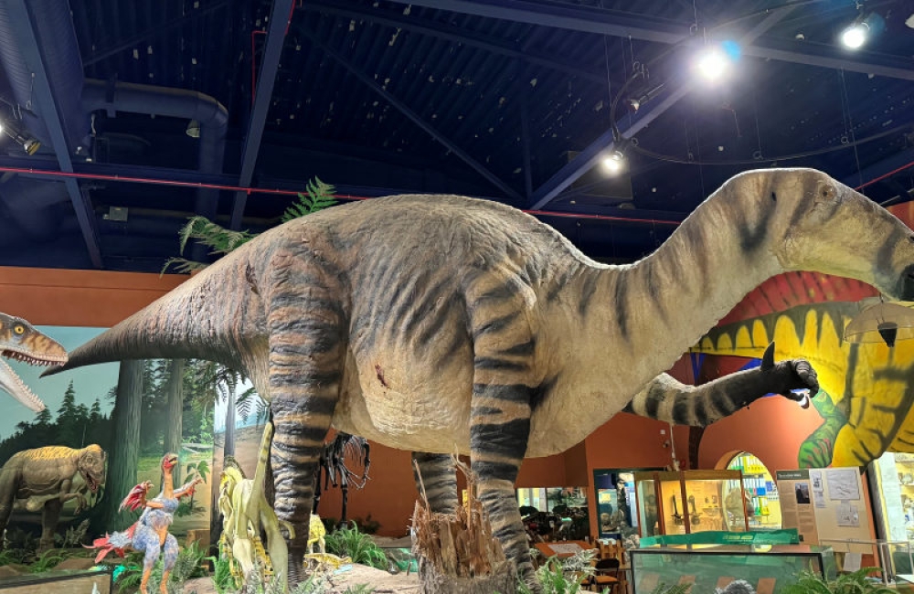 Dinosaur Isle Gallery