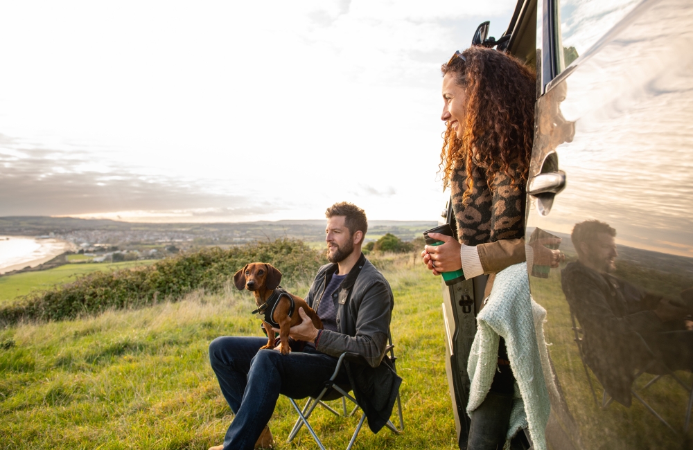 dog at campsite
