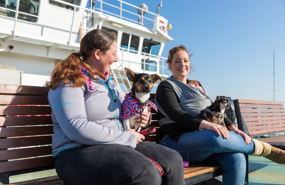 Two women with their dogs sitting outside on the outer deck of the ferry