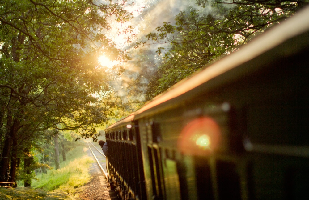 Steam Train moving through a forest