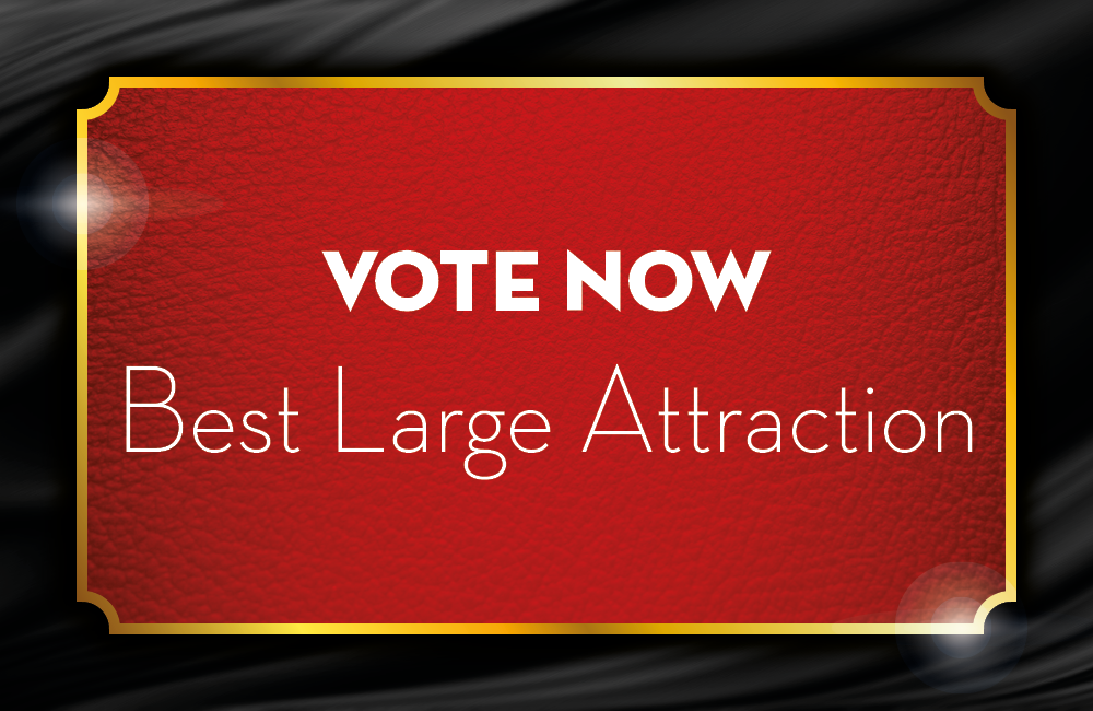 BEST LARGE ATTRACTION