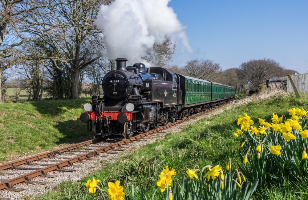 A vintage locomotive emitting a plume of steam, with daffodils in the foreground