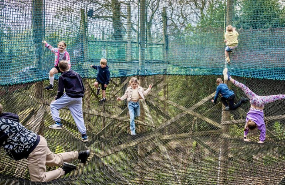 Jungle Heights fun at Robin Hill