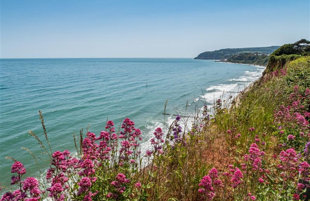 sandown and shanklin