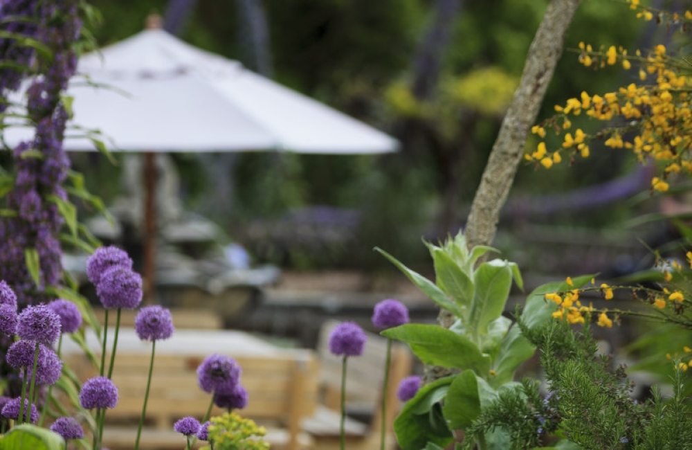 Fountain courtyard at Ventnor Botanic Gardens