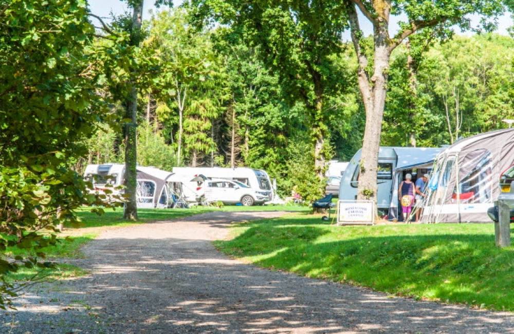 Whitefield Forest Touring Park