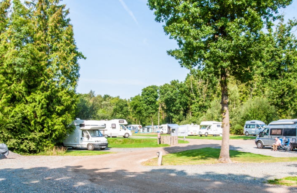 Whitefield Forest Touring Park