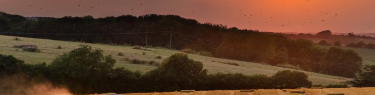 Farm Fields 