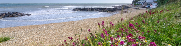 Bonchurch Beach