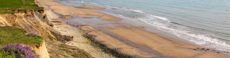 Compton Bay