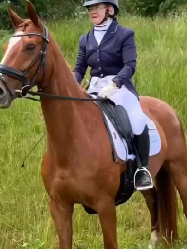 VECTIS EQ rider