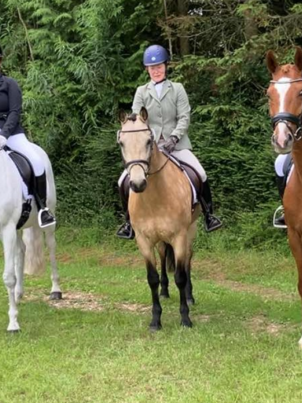 VECTIS EQ riders