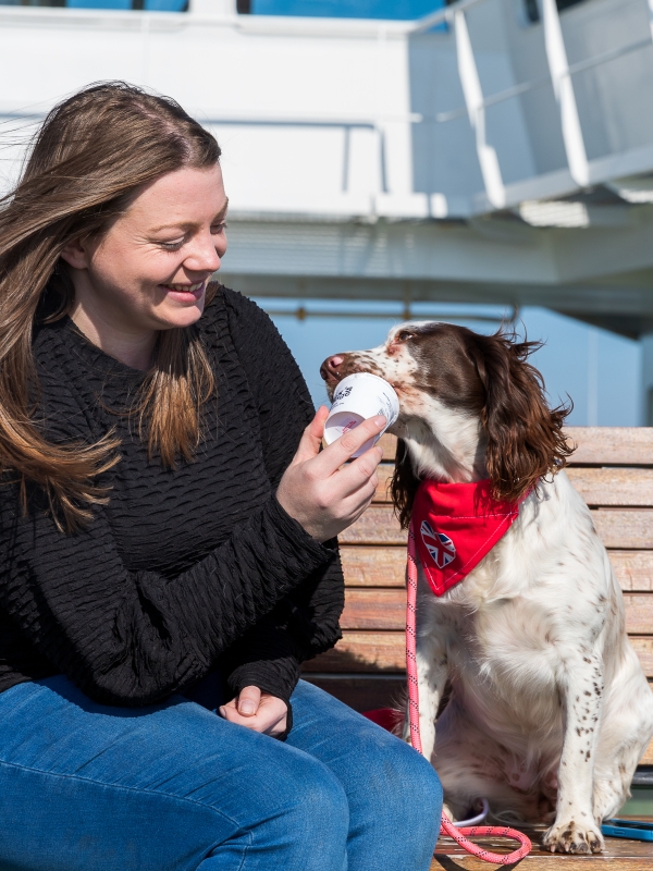 dog eating dog friendly ice cream onboard the ferry