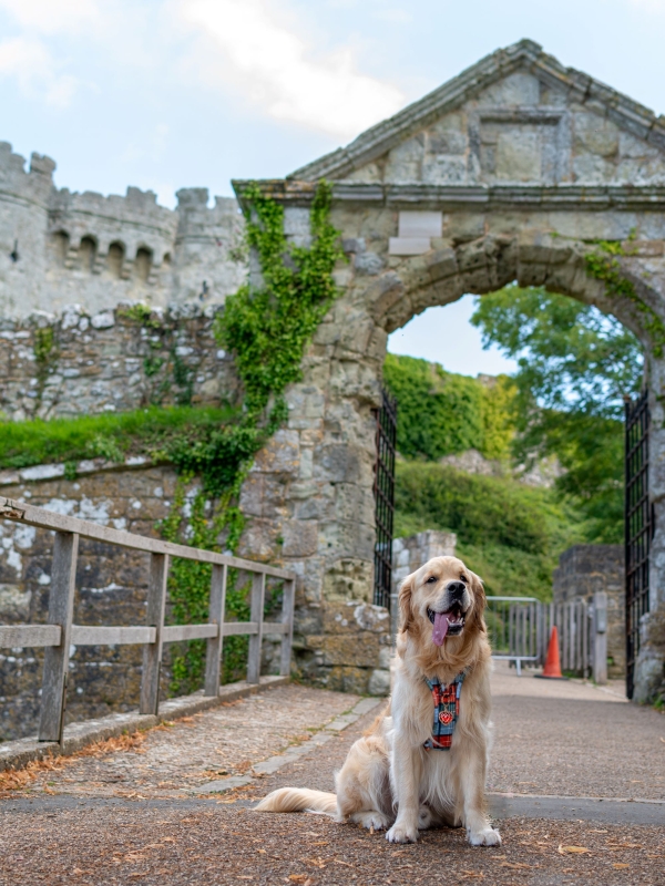 Deku_carisbrooke_castle