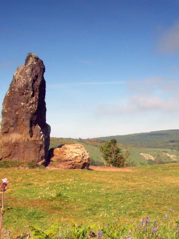 the longstone