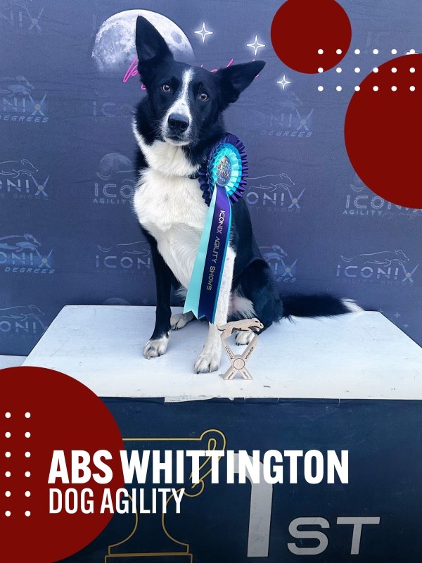 Supported Talent - Abs Whittington