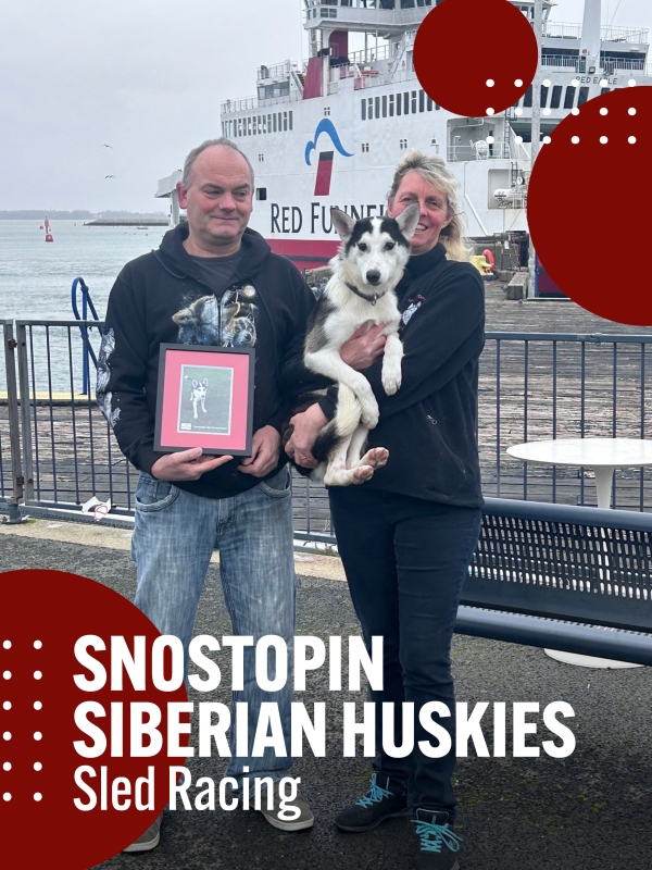 snostopin Siberian huskies