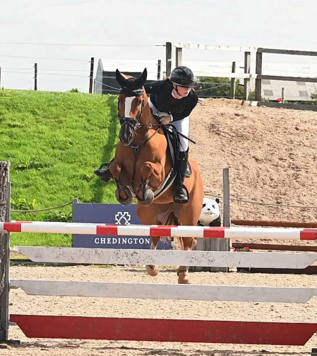 Rubi in competition mid jump
