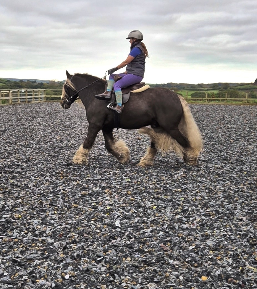 Natalie Brougham side saddle