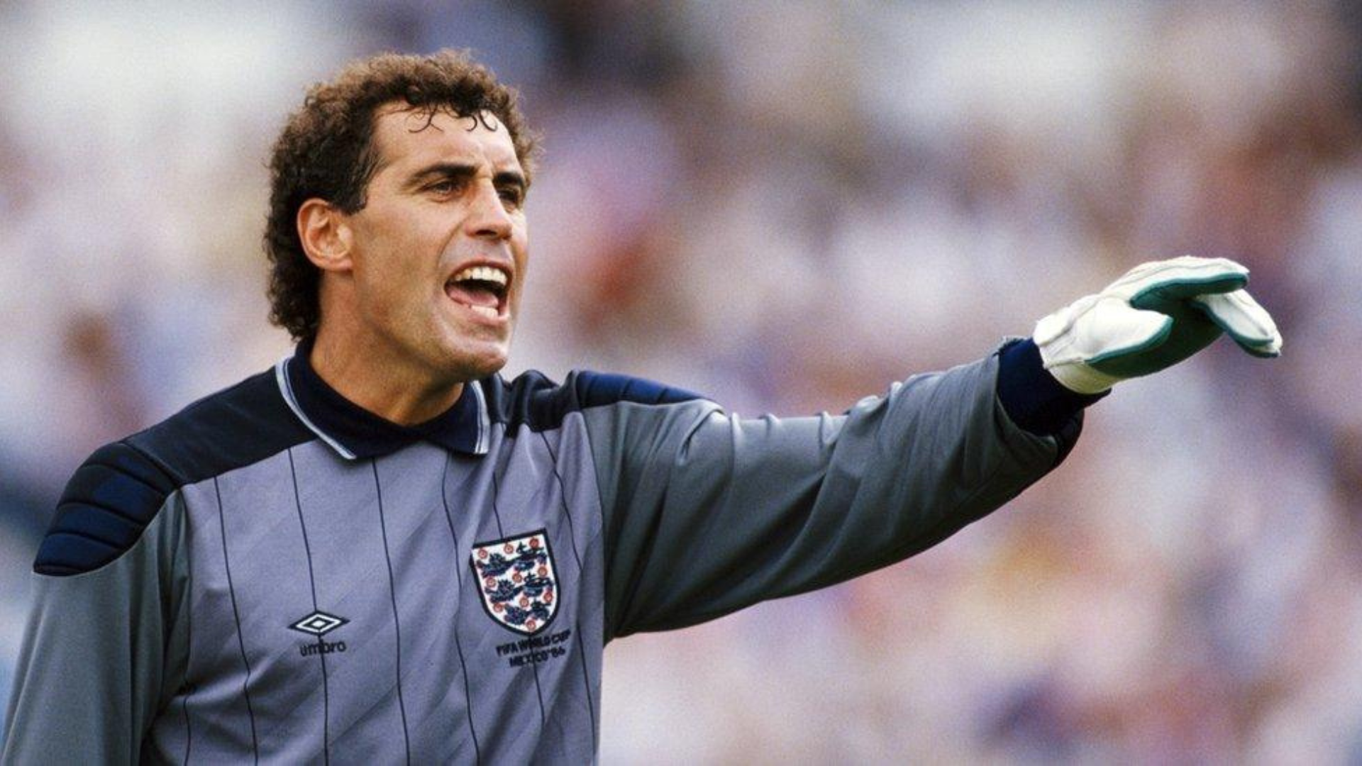 Seamless Entertainment: Peter Shilton