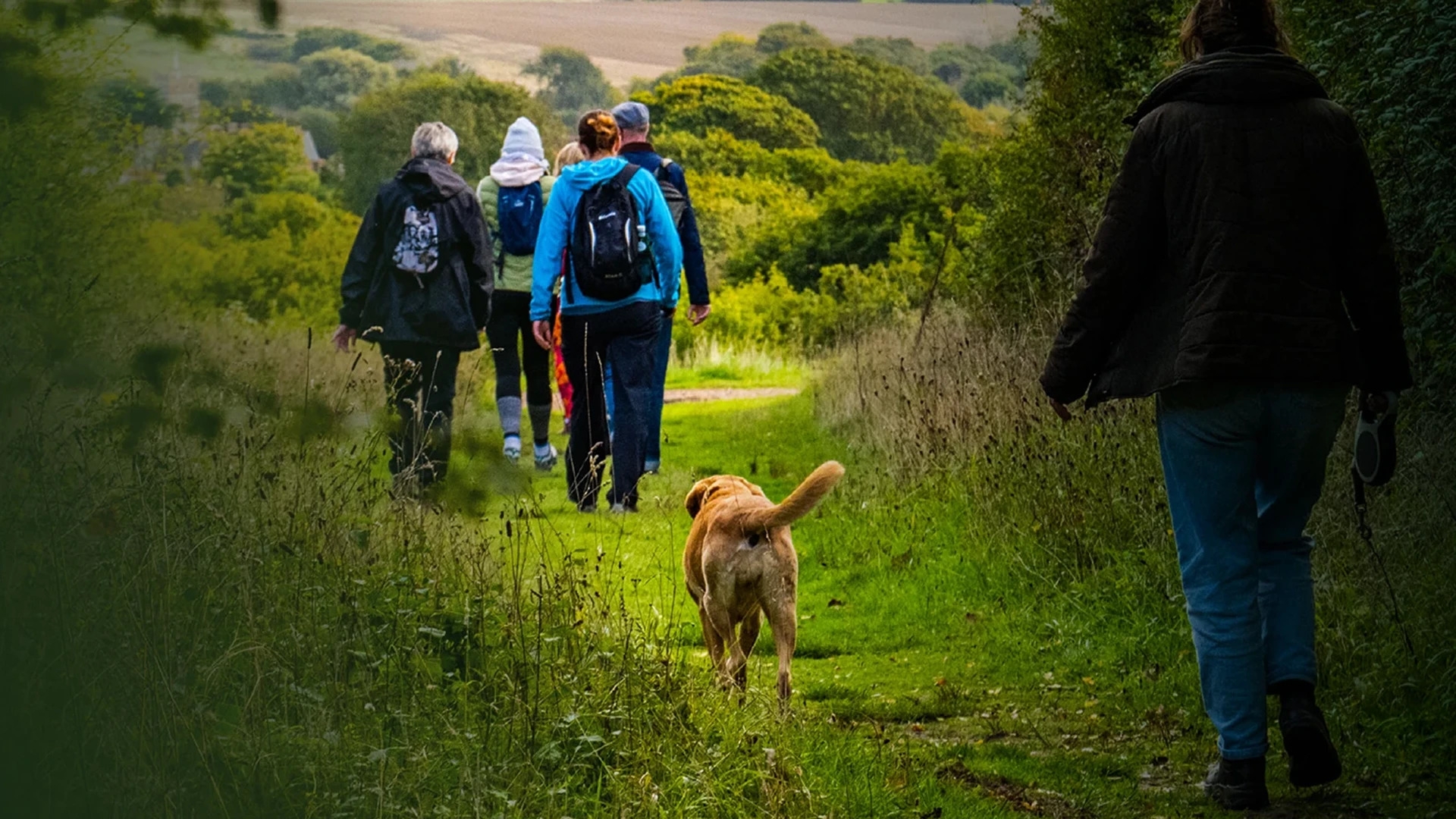 a group of people in walking gear with a labrador dog following 