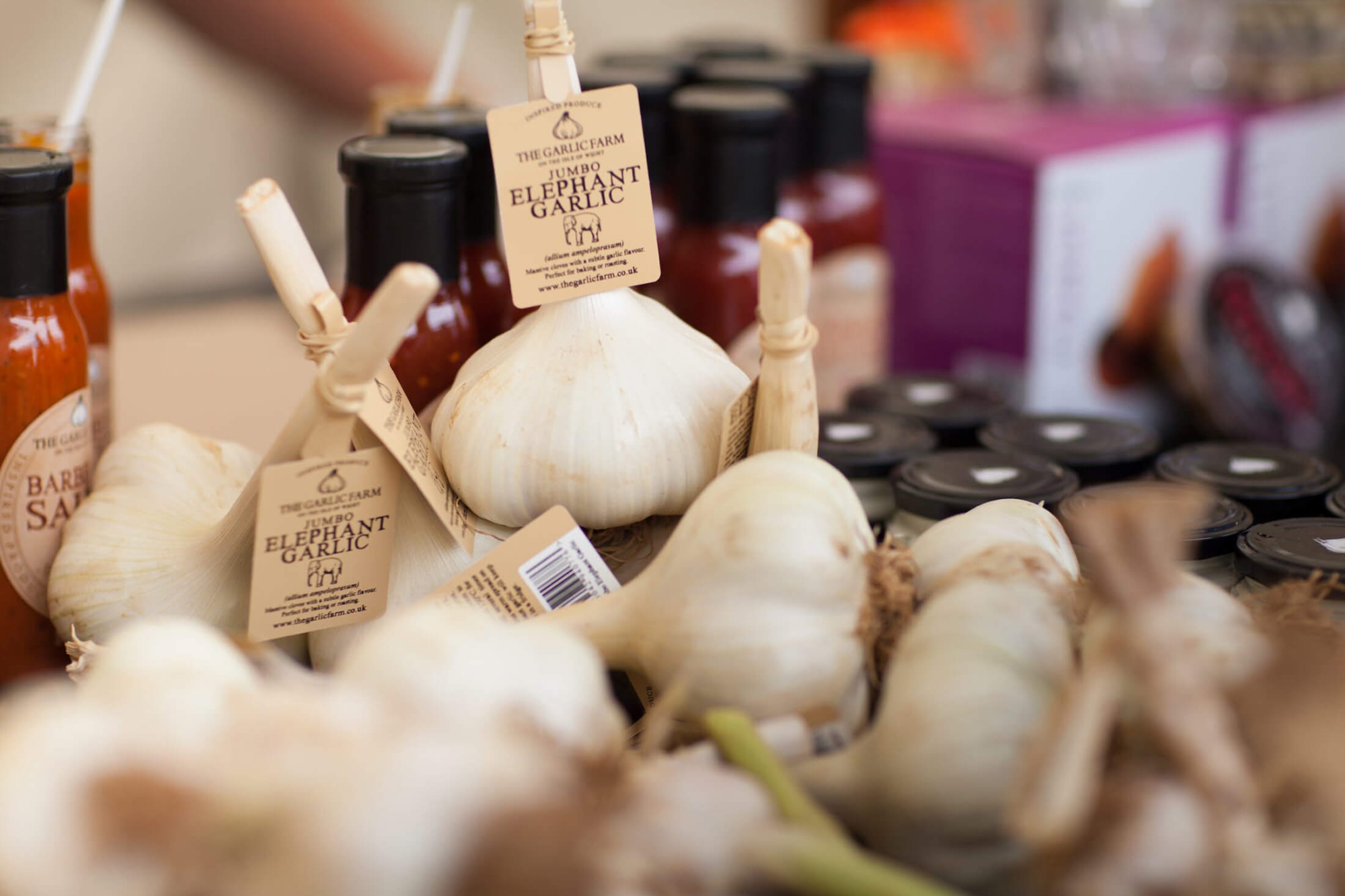 Garlic bulbs