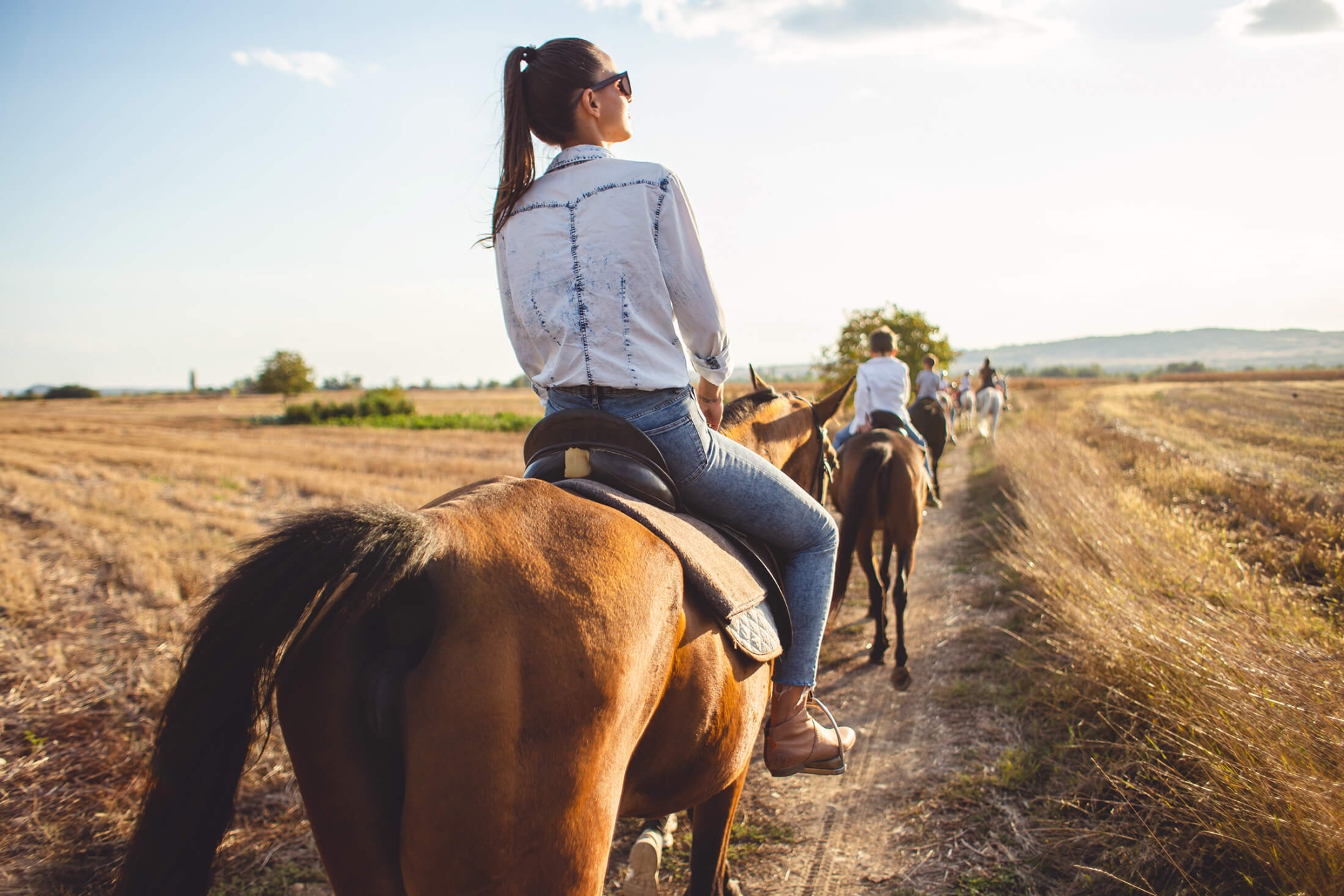 Horse Riding