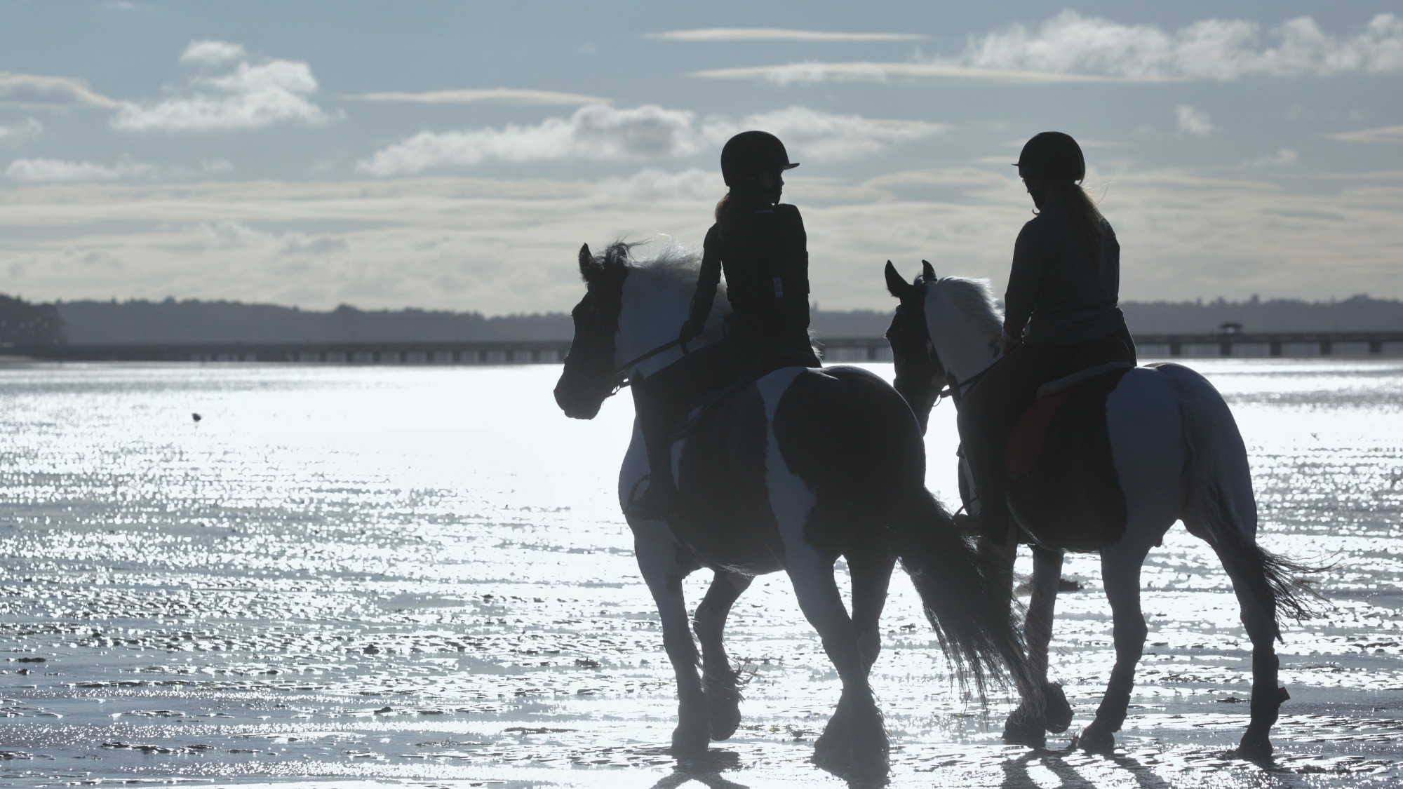 two horses with riders on the beach 