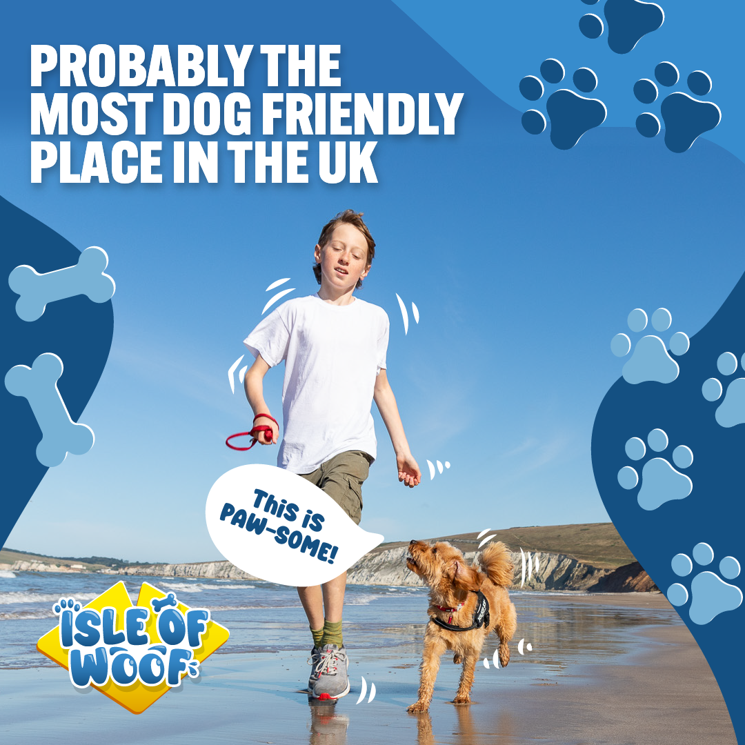 Boy running on the beach with a dog
