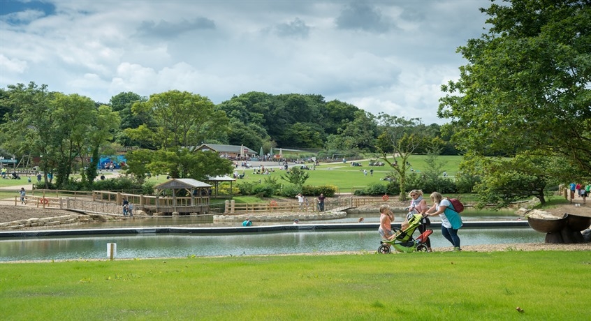 Robin Hill Park
