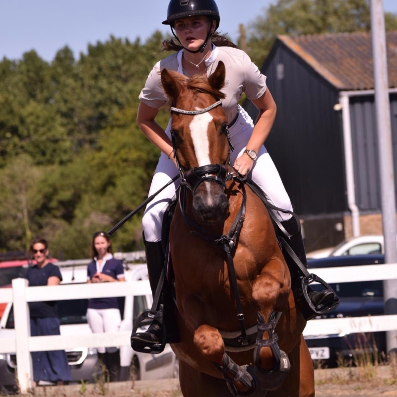 Rubi Harper Showjumping