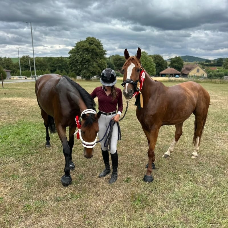 Rubi Harper and horses