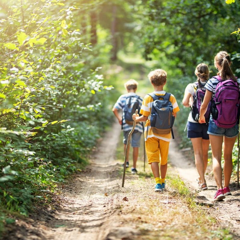 Children on a hike in the woods